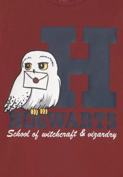 Name It Kinder NKFODEN HARRY POTTER NIGHT - Nachtwäsche Set - Spiced Apple 9 Name It Kinder NKFODEN HARRY POTTER NIGHT - Nachtwäsche Set - Spiced Apple -Name it Verkäufe 0c45955ba28a47a8914687ca54448a84