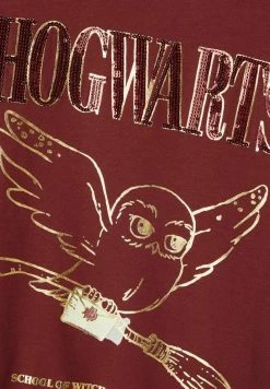 Name It Kinder NKFHARRYPOTTER AXINE - Sweatshirt - Spiced Apple -Name it Verkäufe 0f4c935854044b1ebcf138dee9c1477c