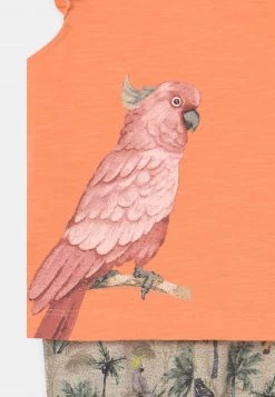 Name It JENNIFER TOP BOX SET - T-Shirt Print - Cantaloupe | Kinder 9 Name It JENNIFER TOP BOX SET - T-Shirt Print - Cantaloupe | Kinder -Name it Verkäufe 0fef184a0e384a01884149ab6f86cd8a