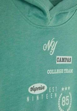 Name It Kapuzenpullover - Green | Kinder -Name it Verkäufe 2d571964f99d480ea13dbb3e2e0a0147