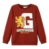 Name It Kinder NKMOCTA HARRY POTTER - Sweatshirt - Fired Brick