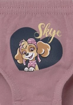 Name It Kinder NMFPAWPATROL NANNA BRIEFS 3 PACK - Slip - Mauve Shadows 9 Name It Kinder NMFPAWPATROL NANNA BRIEFS 3 PACK - Slip - Mauve Shadows -Name it Verkäufe 4df9fcb1bd5f48ec9679350ddd76aaca