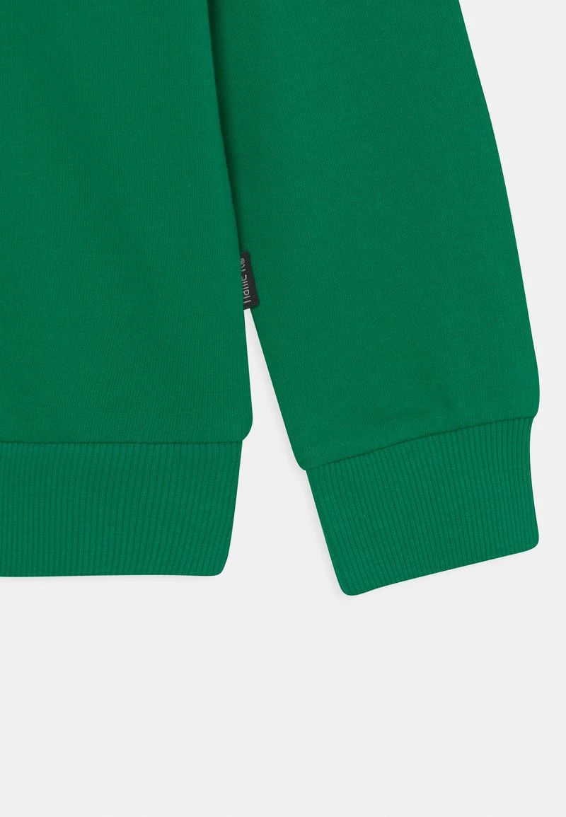 Name It Kinder NKMNESWEAT HOOD - Kapuzenpullover - Green Tambourine 5 Name It Kinder NKMNESWEAT HOOD - Kapuzenpullover - Green Tambourine – Bild 3