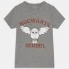 Name It Kinder NKFODINA HARRY POTTER - T-Shirt Print - Grey Melange -Name it Verkäufe 73e1f0381ecf4b3d8326b98d7b22e7a9