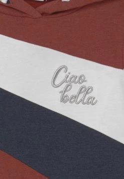 Name It NKFLELISSE LS WH BRU - Kapuzenpullover - Spiced Apple | Kinder -Name it Verkäufe 8441aa6b46ec499e9092ffc2df5d49b8