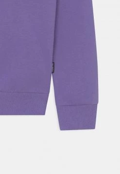 Name It Kinder NKFNASWEAT HOOD - Sweatshirt - Dahlia Purple -Name it Verkäufe a764952954864520a3f00efd1b2598ad