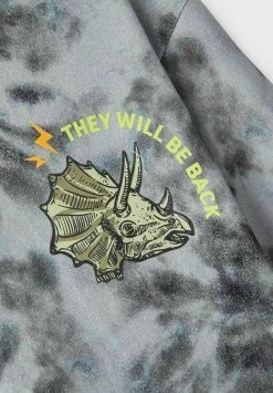 Name It Kinder DINOSAURIER - Sweatshirt - Lead -Name it Verkäufe ca2ed6c10a8f45fbaa7123f781eaf3bd