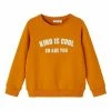 Name It Kinder Sweatshirt - Thai Curry