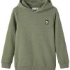 Name It Kinder Kapuzenpullover - Agave Green -Name it Verkäufe fd25f5f8c77d4449b078c92a3390479b